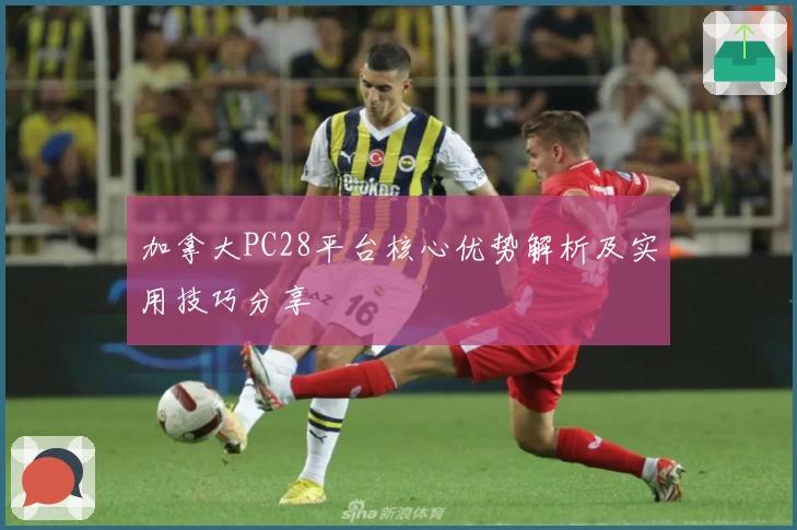 加拿大PC28平台核心优势解析及实用技巧分享