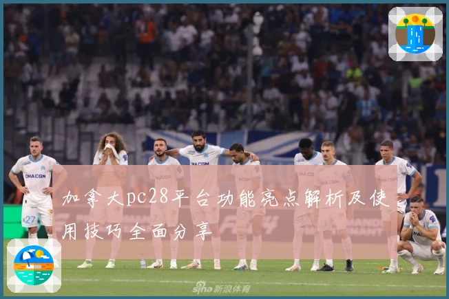 加拿大pc28平台功能亮点解析及使用技巧全面分享
