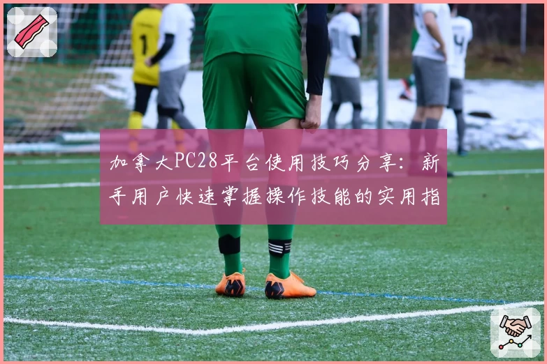 加拿大PC28平台使用技巧分享：新手用户快速掌握操作技能的实用指南