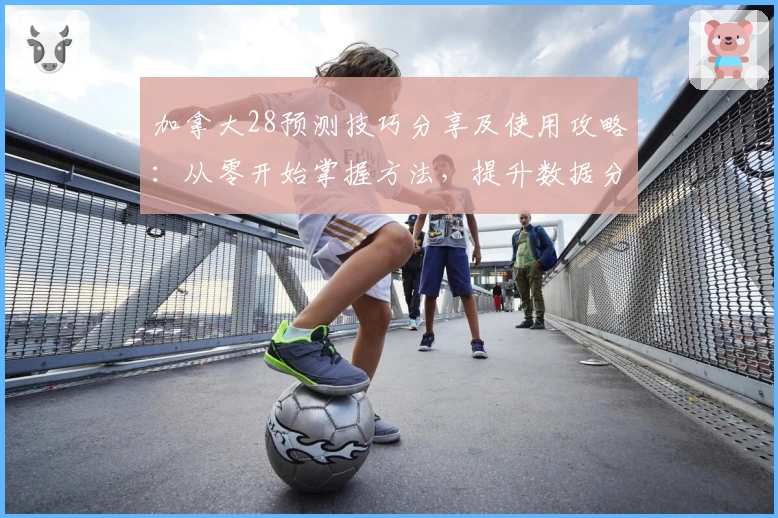 加拿大28预测技巧分享及使用攻略：从零开始掌握方法，提升数据分析能力