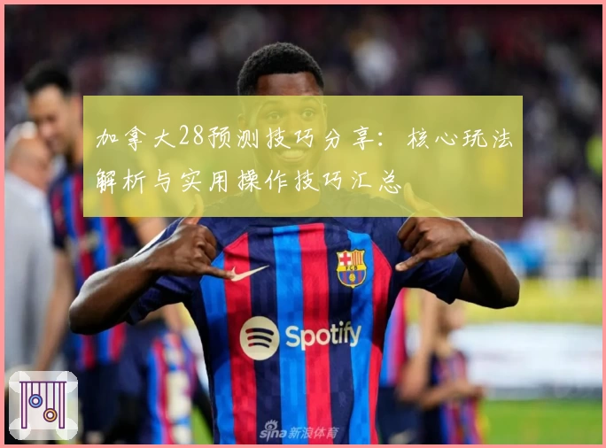 加拿大28预测技巧分享：核心玩法解析与实用操作技巧汇总
