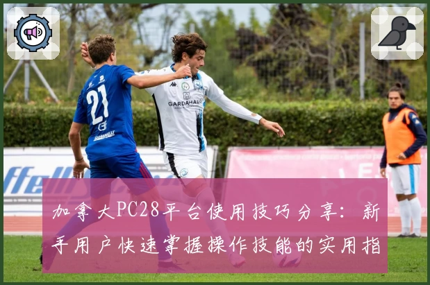 加拿大PC28平台使用技巧分享:新手用户快速掌握操作技能的实用指南