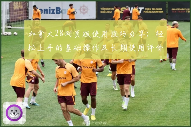 加拿大28网页版使用技巧分享:轻松上手的基础操作及长期使用评价解析