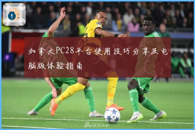 加拿大PC28平台使用技巧分享及电脑版体验指南