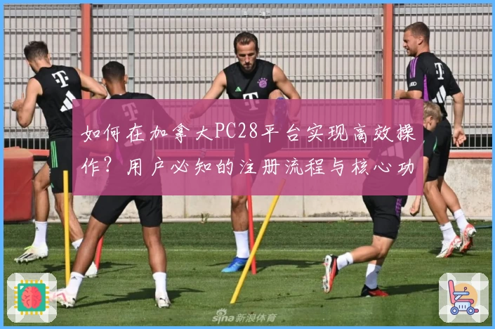 如何在加拿大PC28平台实现高效操作？用户必知的注册流程与核心功能解析