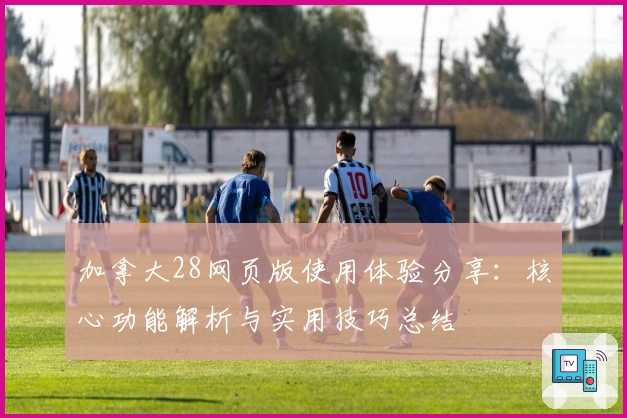 加拿大28网页版使用体验分享：核心功能解析与实用技巧总结