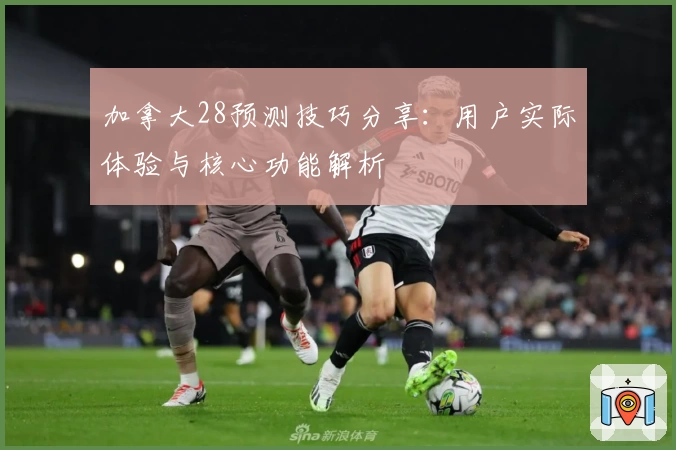 加拿大28预测技巧分享：用户实际体验与核心功能解析