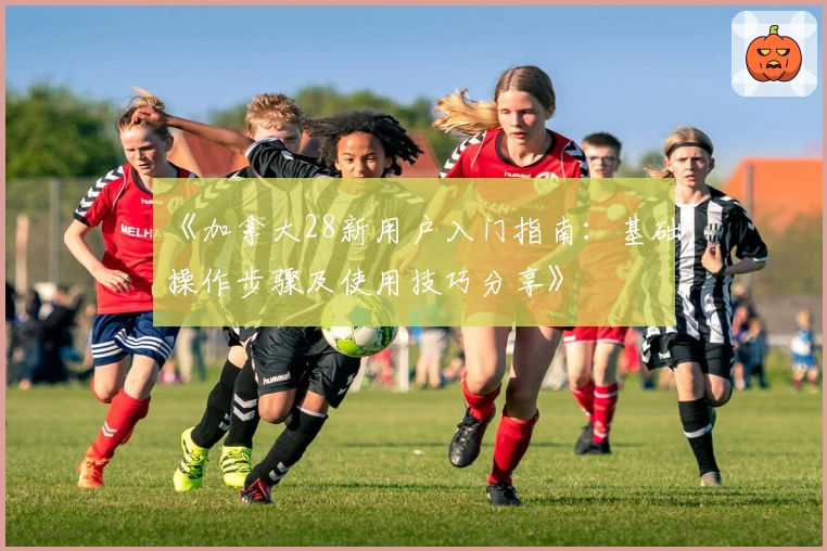 《加拿大28新用户入门指南：基础操作步骤及使用技巧分享》