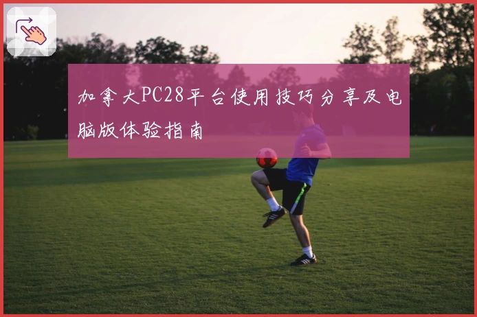 加拿大PC28平台使用技巧分享及电脑版体验指南