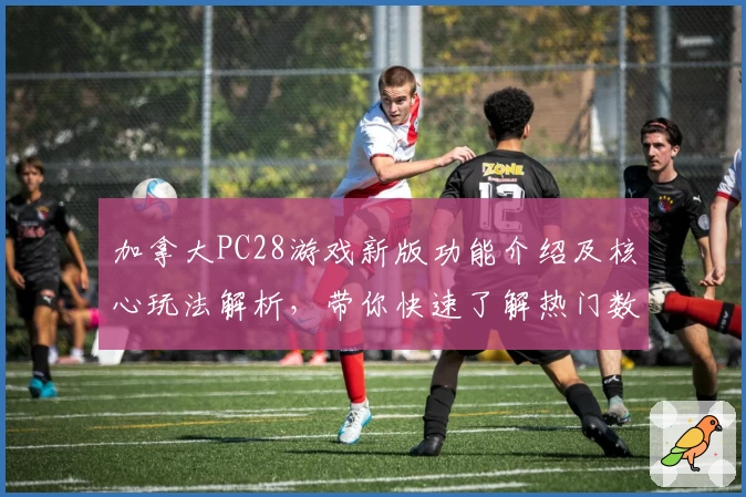 加拿大PC28游戏新版功能介绍及核心玩法解析，带你快速了解热门数字娱乐平台魅力