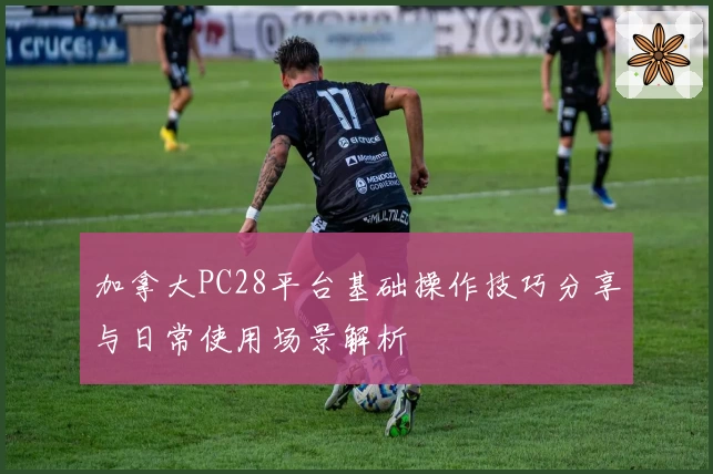 加拿大PC28平台基础操作技巧分享与日常使用场景解析