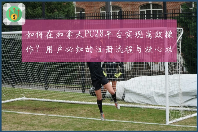 如何在加拿大PC28平台实现高效操作？用户必知的注册流程与核心功能解析
